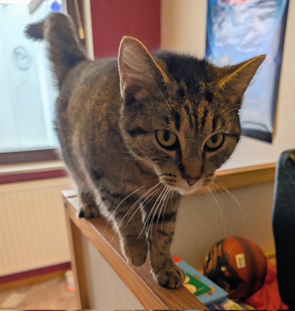 Anders Hagman tweet media