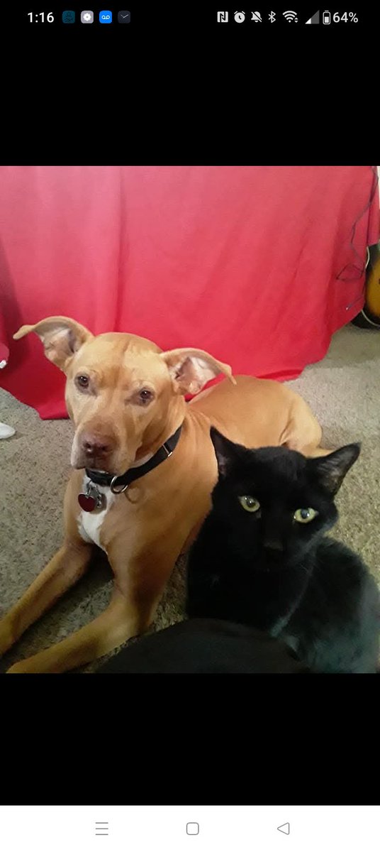 Alex may tweet media