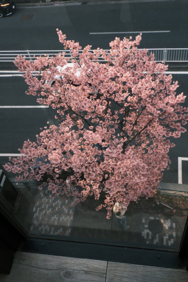 blackpepper tweet media