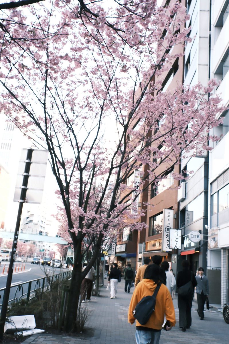 blackpepper tweet media