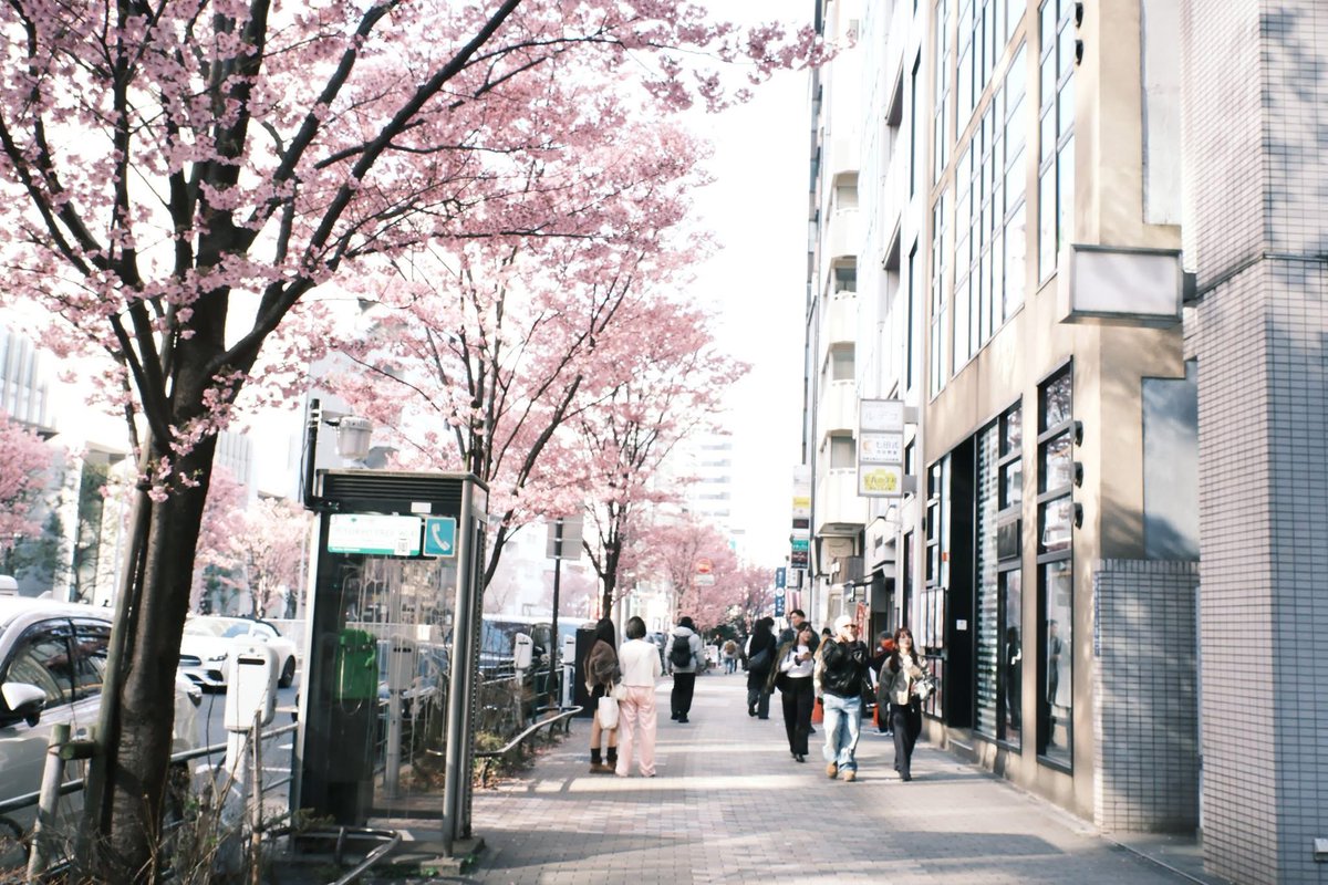 blackpepper tweet media