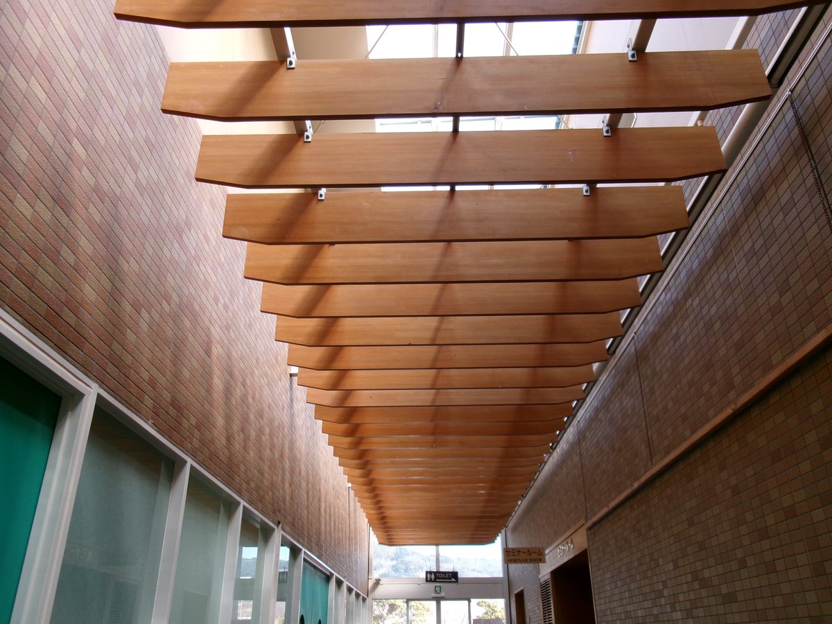 2223_nn's tweet image. #FZ55
#KodakFZ55