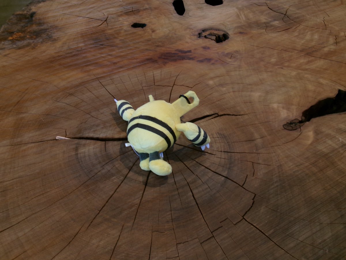 2223_nn's tweet image. #FZ55
#KodakFZ55