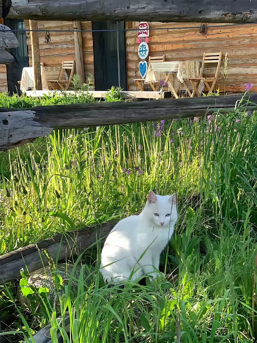 Madeline Ortiz tweet media