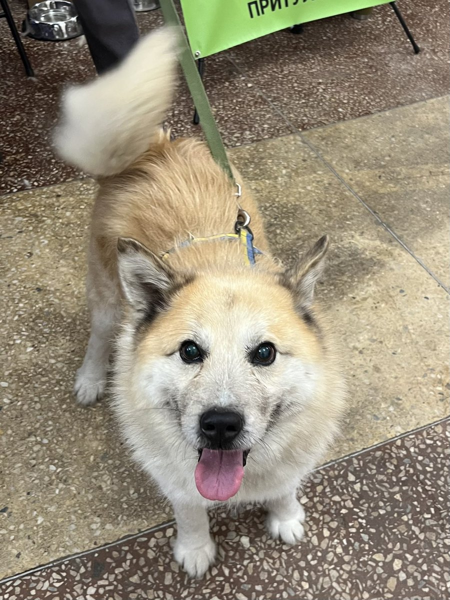 хтось нас за шось наказує tweet media