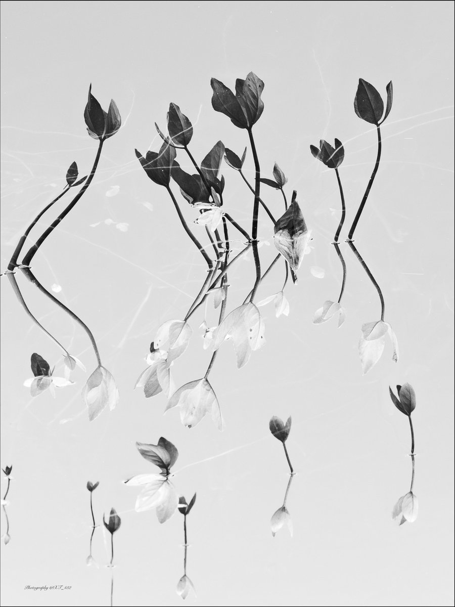 しみちゃん❄︎ tweet media