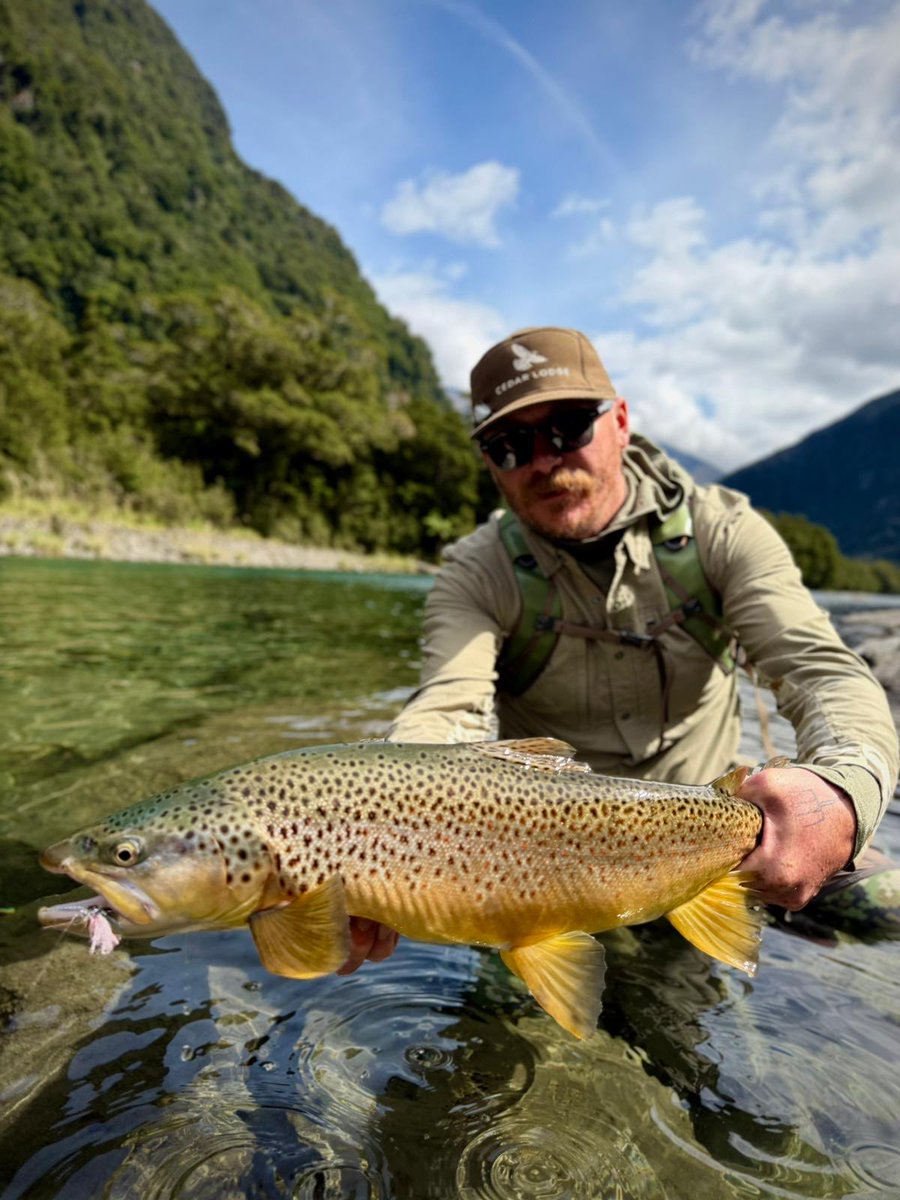 ElevenAngling tweet media