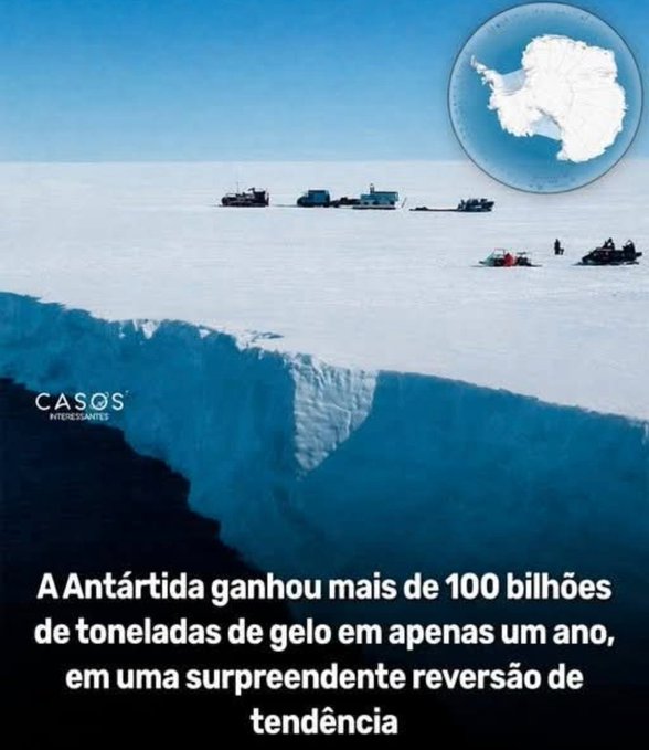 Maria Vieira tweet media