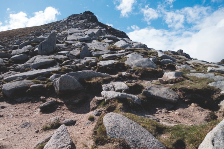 Free Flash Fiction tweet media