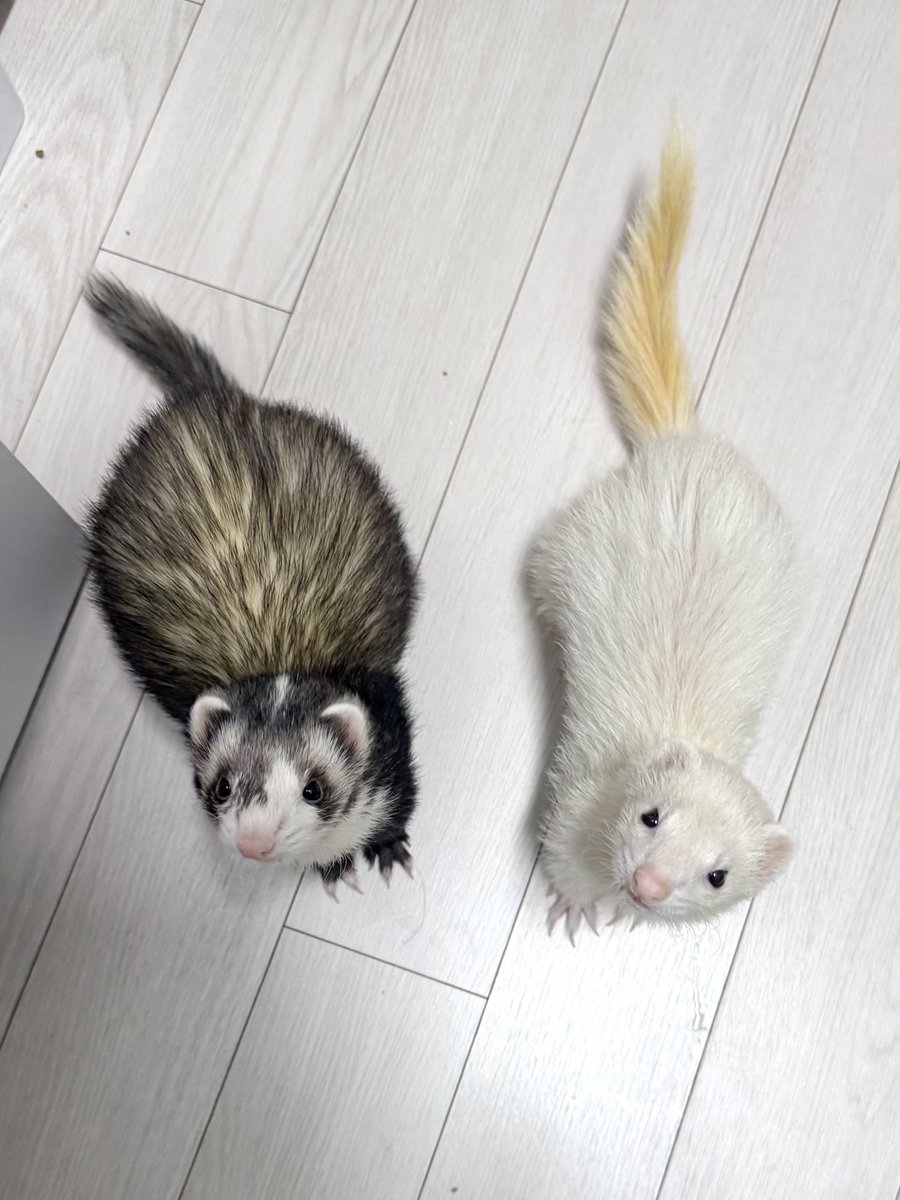 팥찐빵 찌는 중 👩🏻‍🍳💭 tweet media