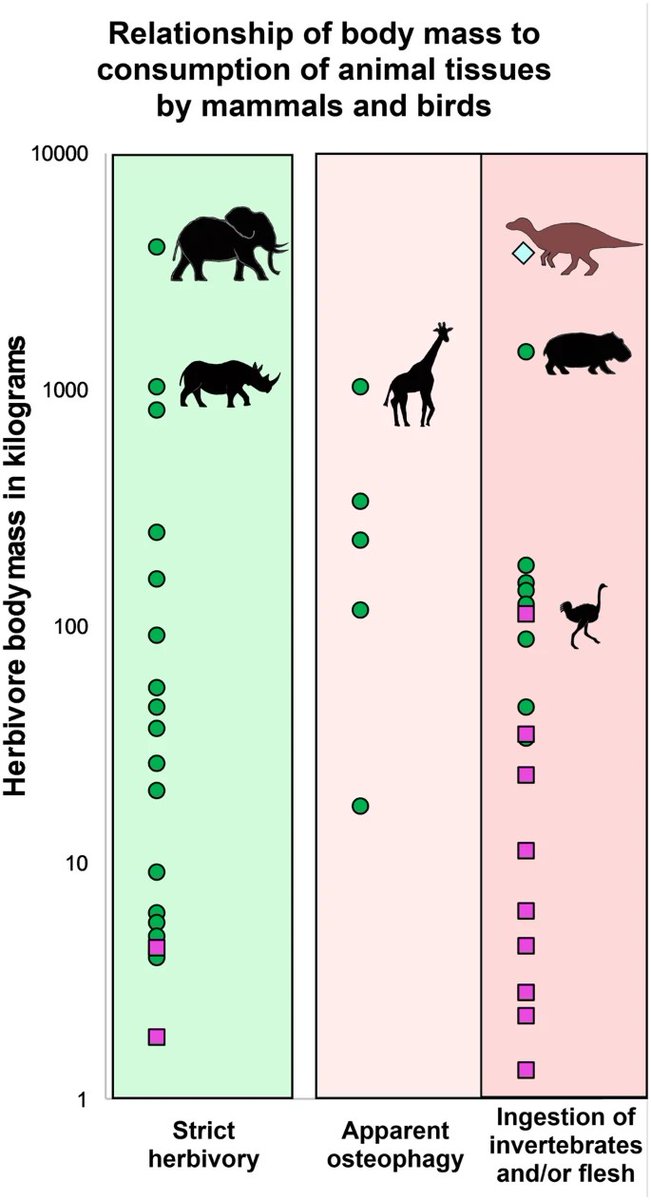 冠龍 諸々を執筆中(遅) tweet media