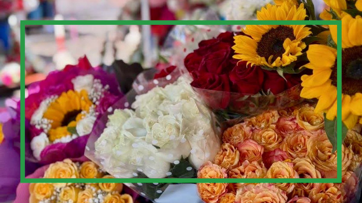 Mathkind tweet media