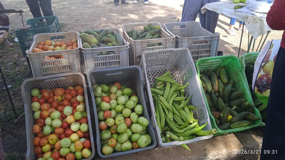 yaudel86's tweet photo. Feria agropecuaria este sábado en Unión de Reyes. @ArlnGonzle88299 @Yamile666420 @odacuba @mariofsabines @CaridadPoey https://t.co/fhihVsvH23