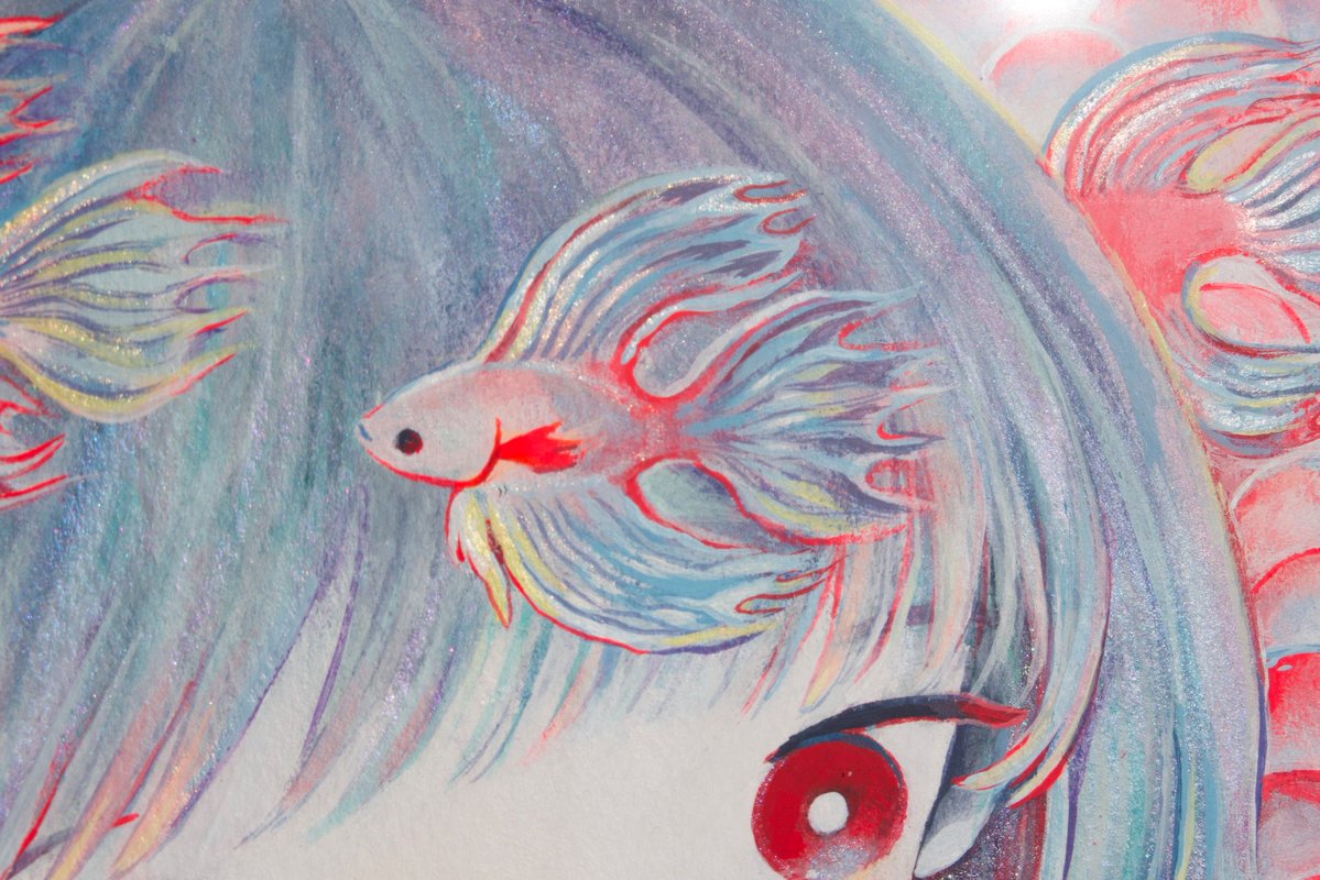 黄菊しーく tweet media