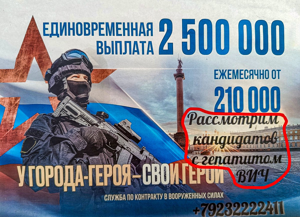 Сибирский кот tweet media