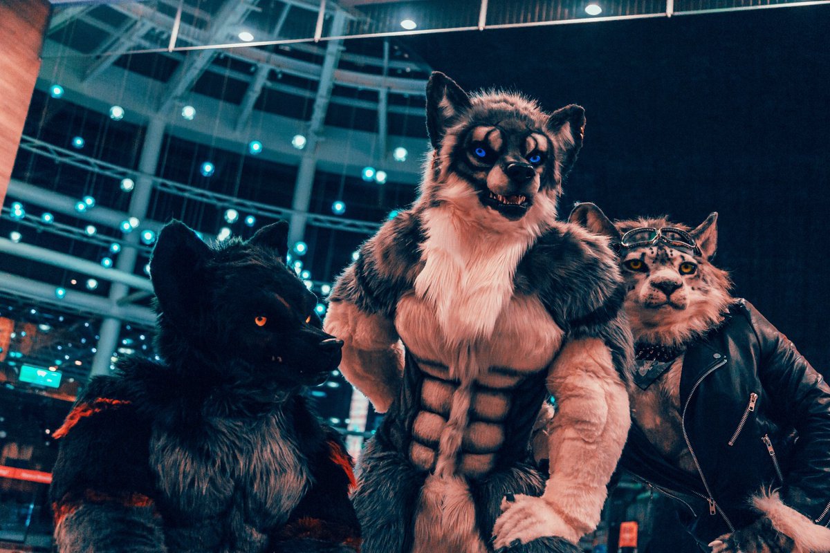 WulfricTaden's tweet photo. We’re a package deal, apparently. 😎

🐺: @WulfricTaden
🐺: @Lycan_Work
🐱: @Hoonkuk

#FursuitEveryday #Fursuit #Infurnity #Infurnity2018 https://t.co/laMuYbAc1q