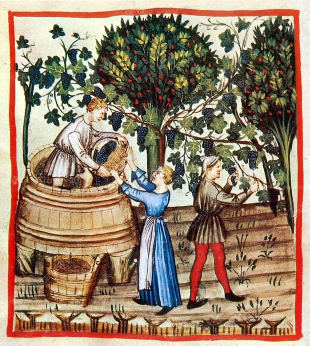 Gustavo zarrilli tweet media