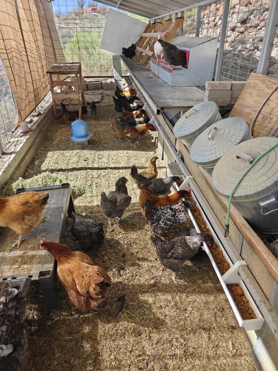 Ian Nelson tweet media