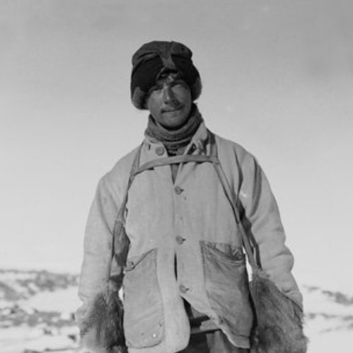 mathias🦷 tweet media