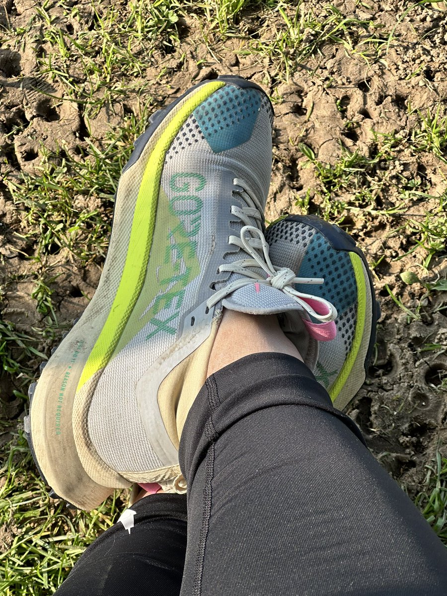 Fanny 𝐸𝑙𝑒𝑎𝑛𝑜𝑟 𝐴𝑏𝑒𝑟𝑛𝑎𝑡ℎ𝑦🤓🎏🐈🐈‍⬛ tweet media