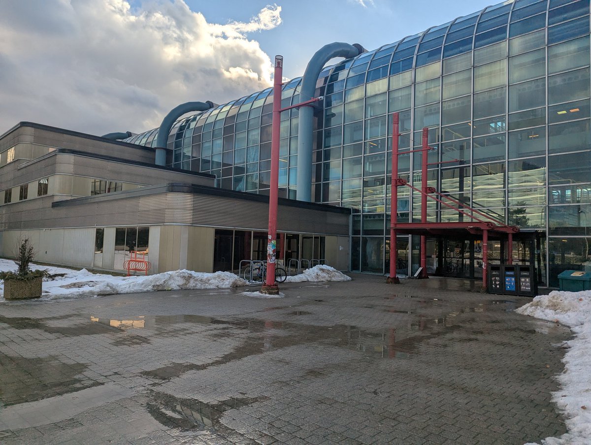 Steve Hanov tweet media