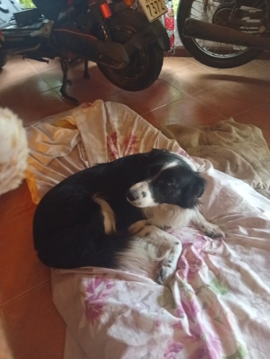 🪓🙄🄰🄽🄳🅁🄴🅂 🅁🄰🄼🄸🅁🄴🅉 tweet media