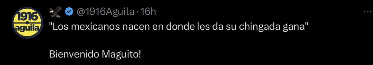 Yael tweet media