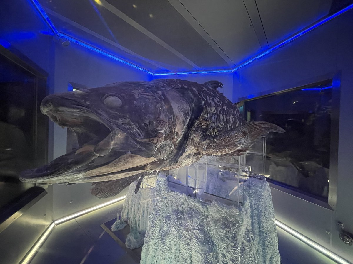 むあきん tweet media