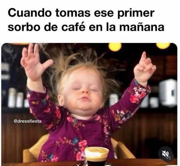 mi Venezuela tweet media