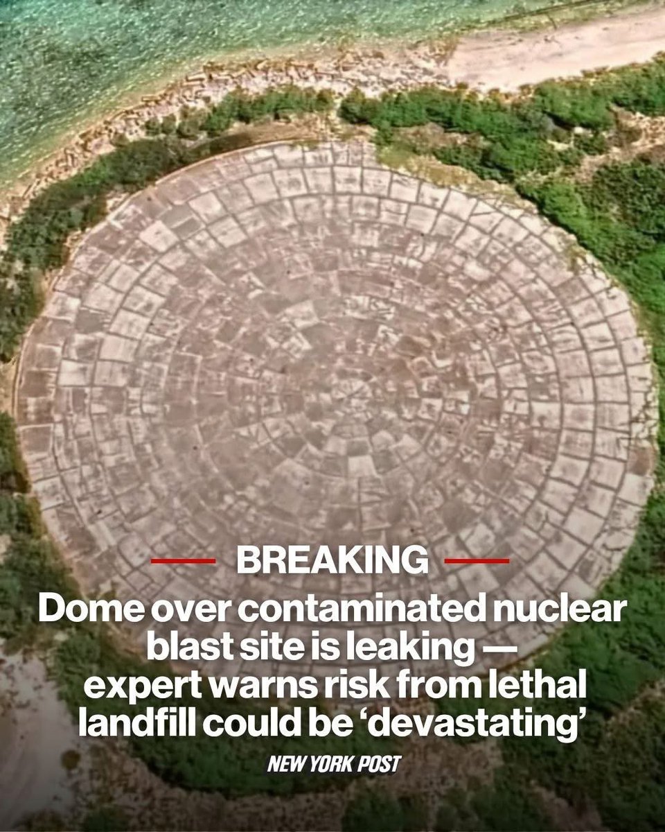 Melissa Hallman tweet media