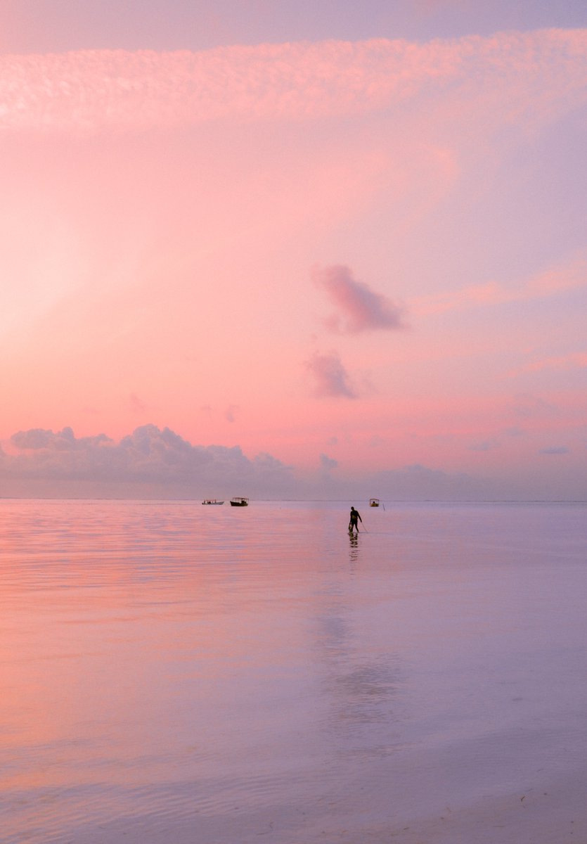 Alex Kittoe tweet media