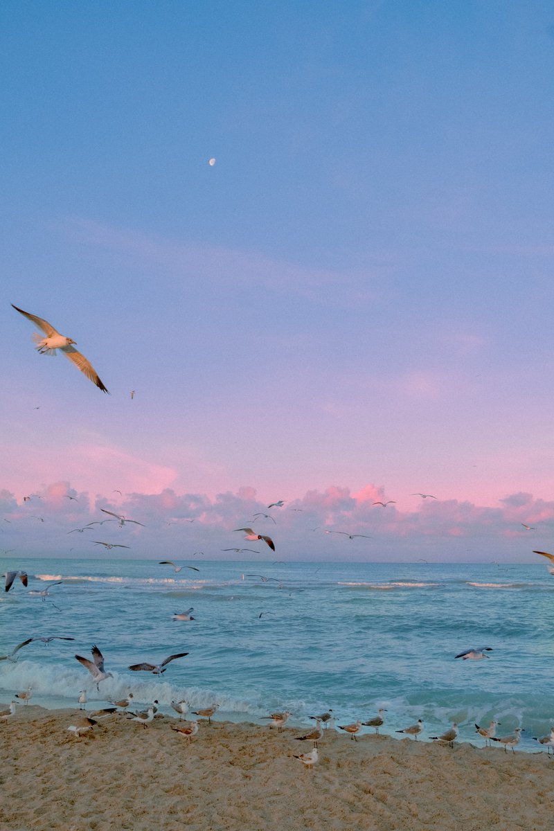 Alex Kittoe tweet media