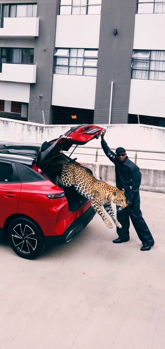 Eckollection tweet media