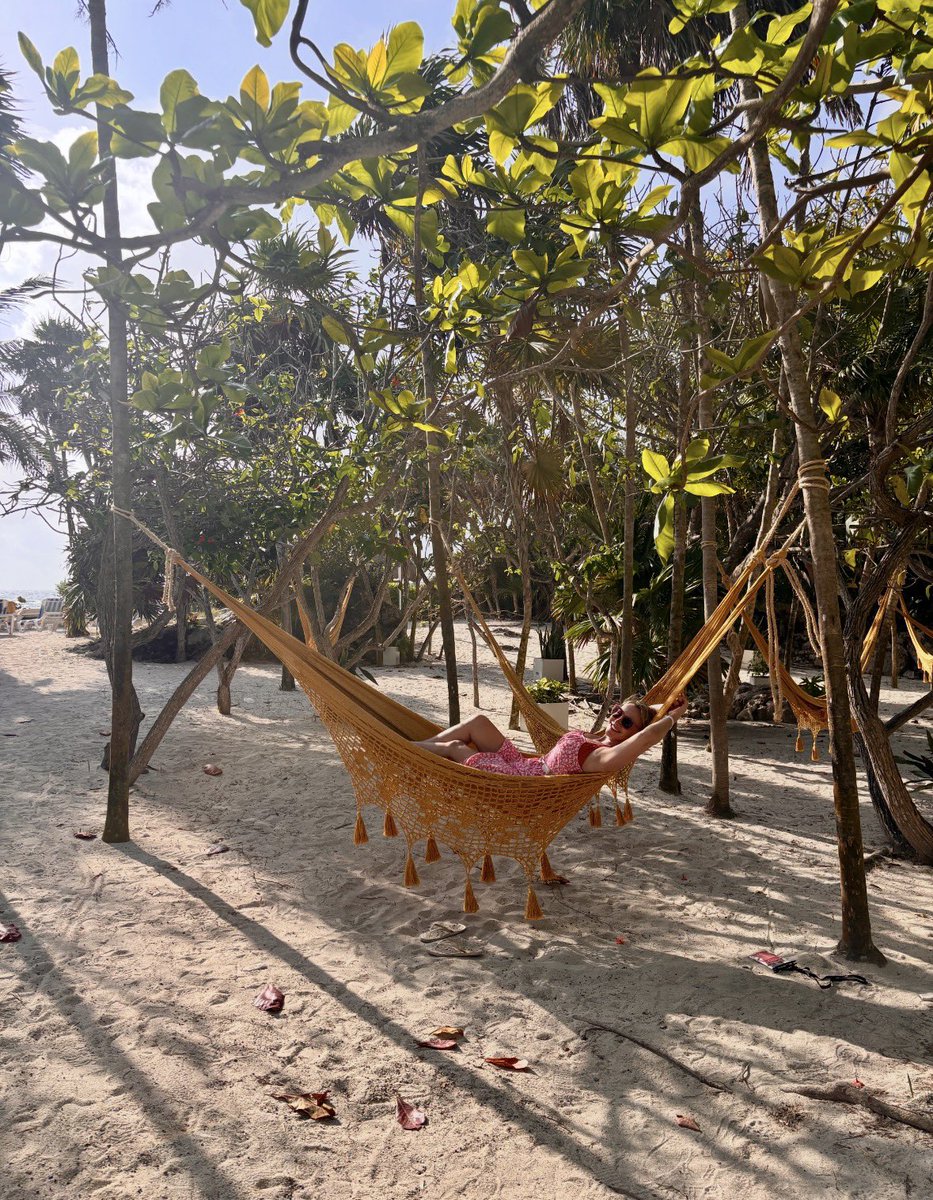 Sophie Blake tweet media