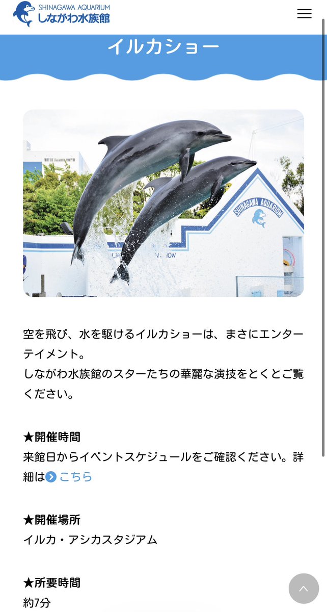 celavi🐟🌈 tweet media