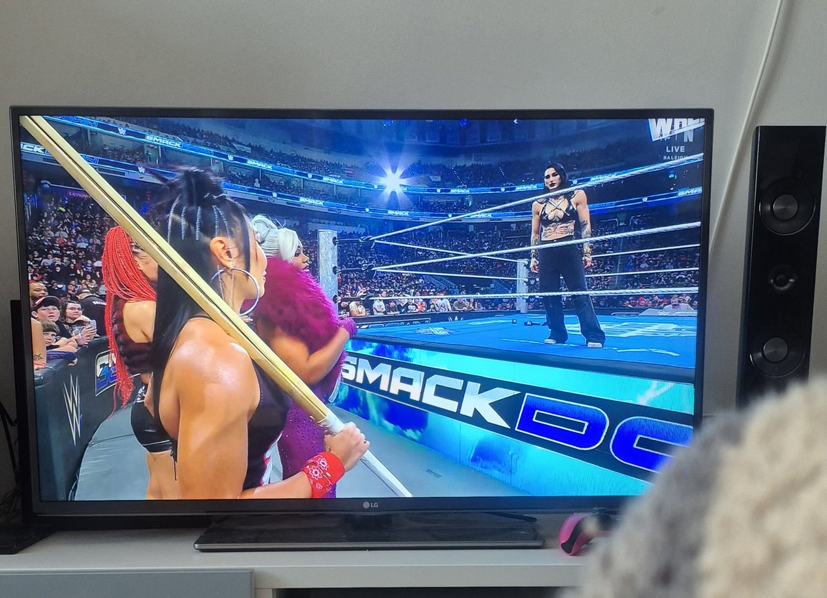 Anna 🐍 Kept you waiting, huh? tweet media