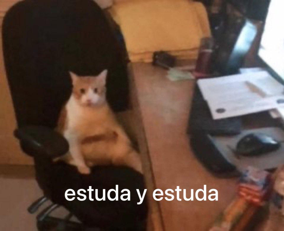 Theuzito vai ser MED UFPE 🙏🩺 tweet media