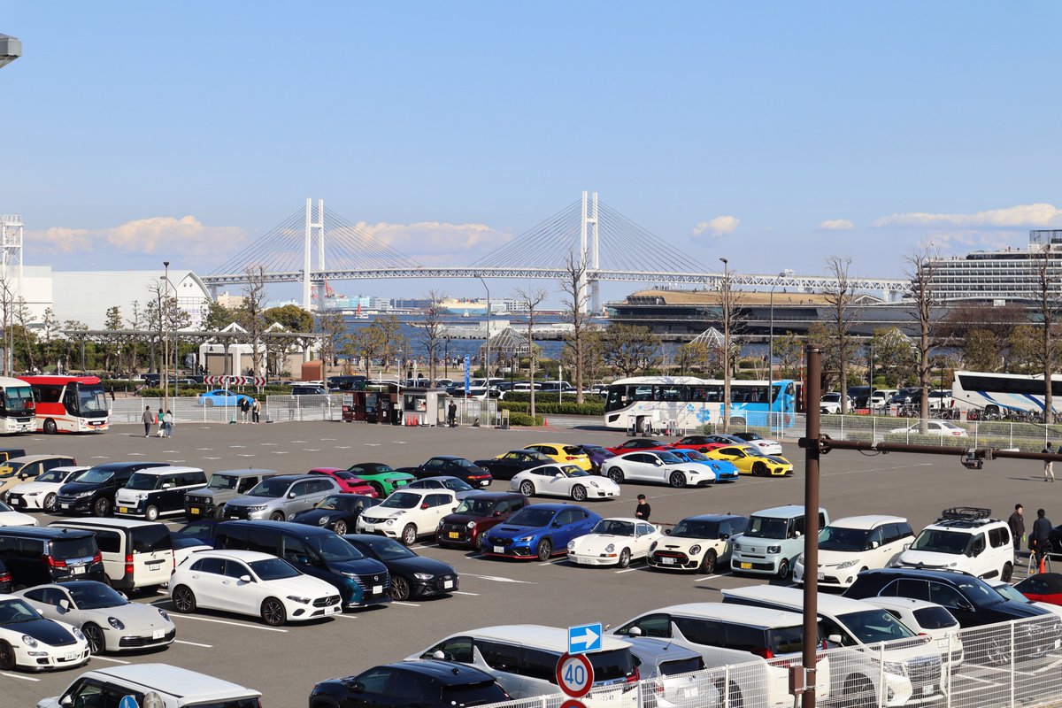 ワンビア tweet media