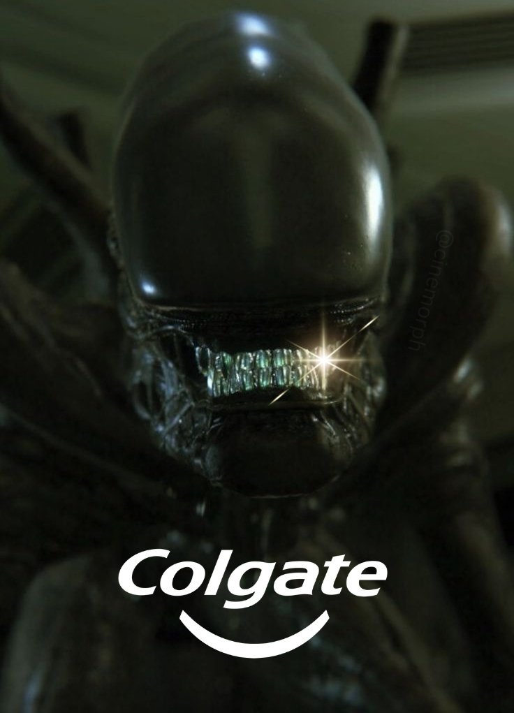 CINEMORPH tweet media