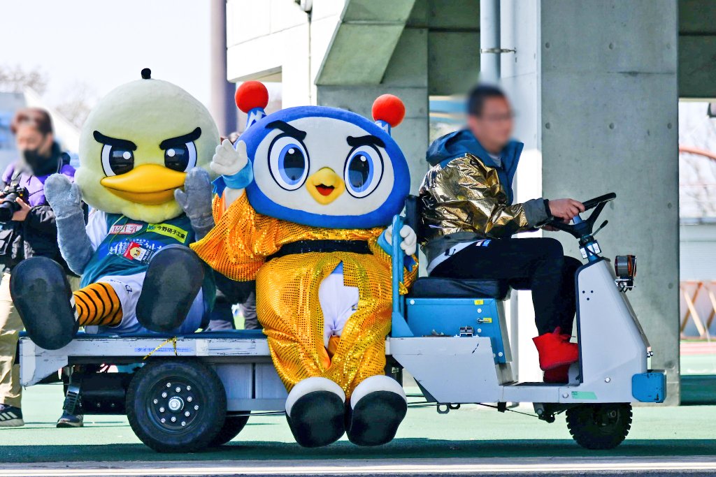 あさみん⚡😺 tweet media