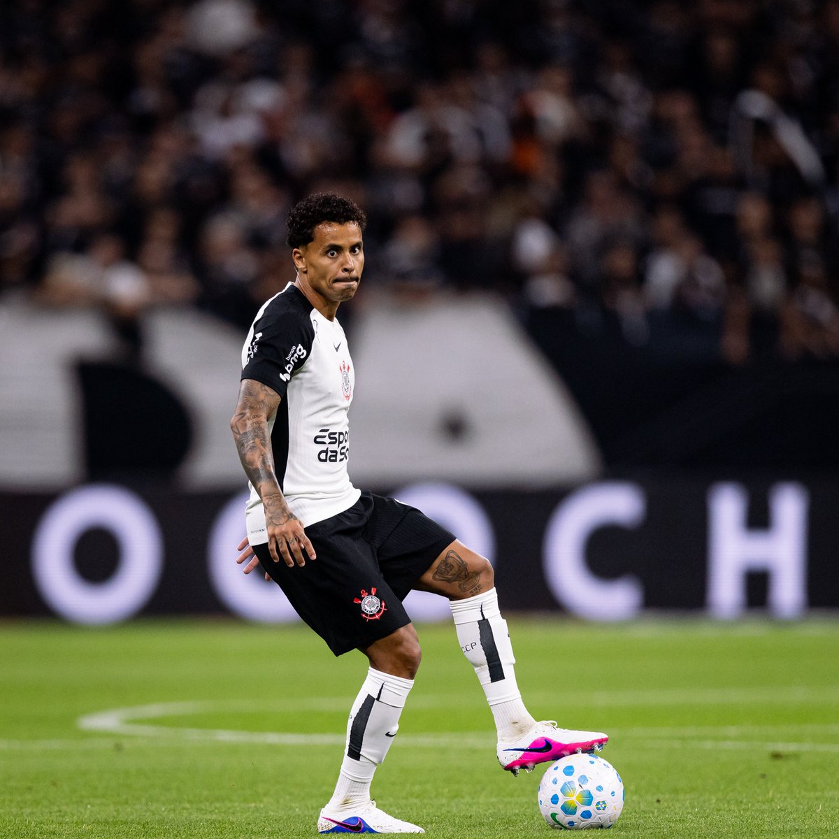 SCCP News tweet media