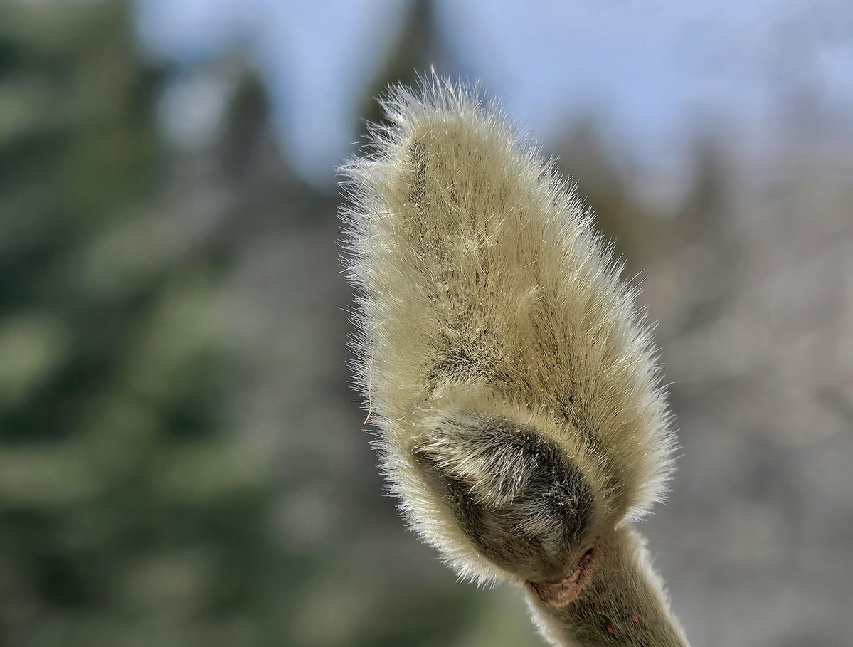 O'teach John tweet media