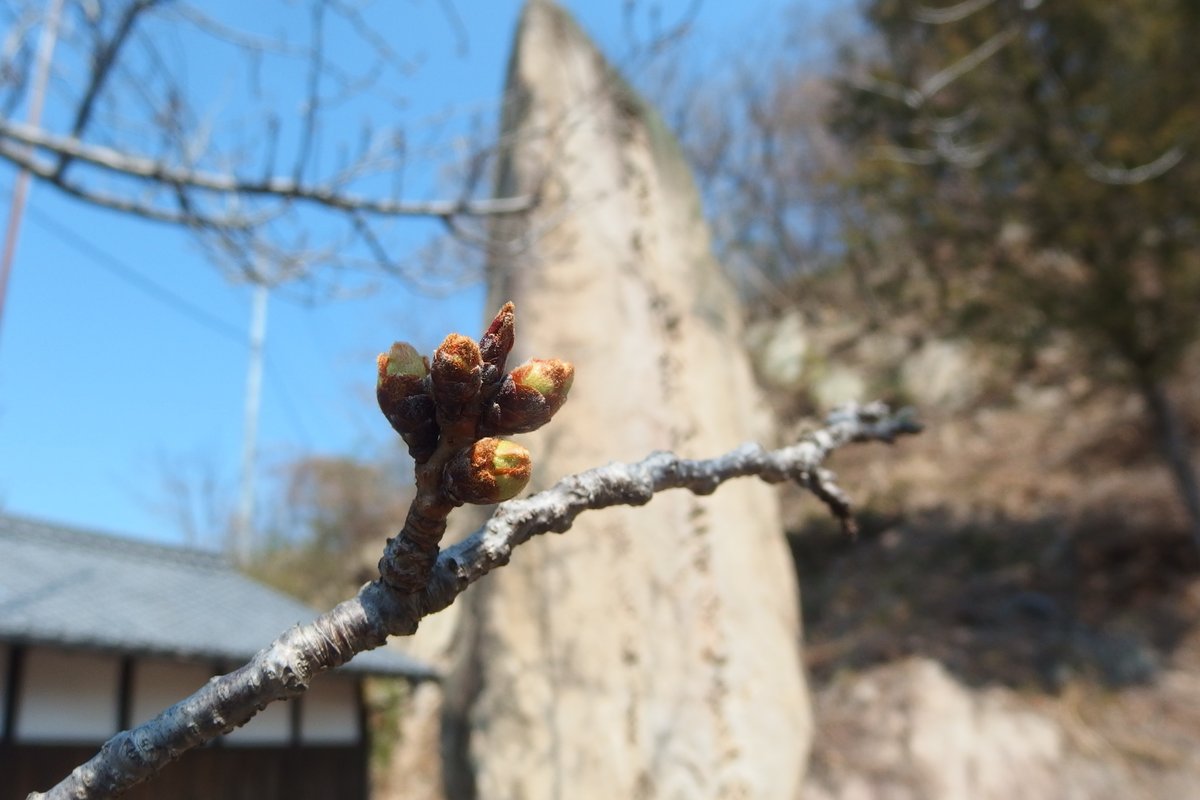 軍艦利根資料館 tweet media