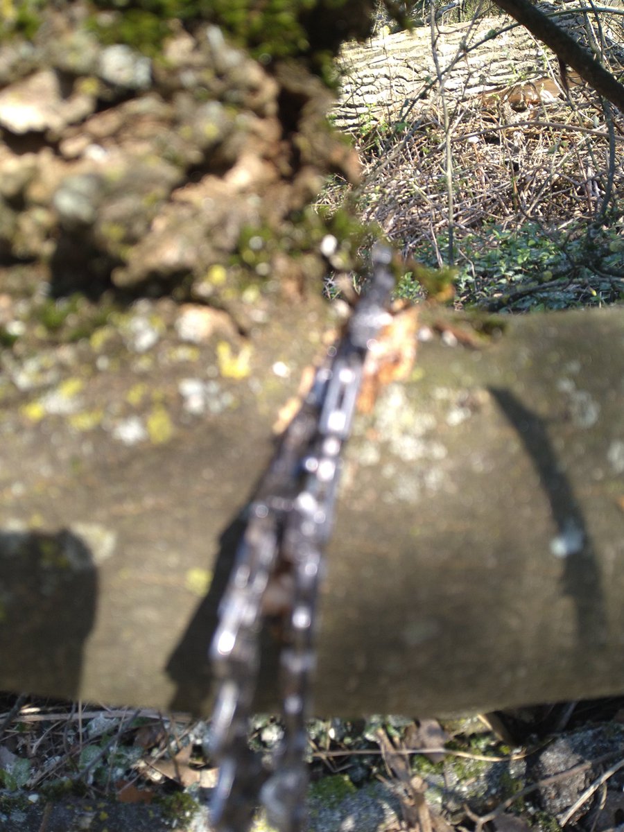 Lünsemann tweet media