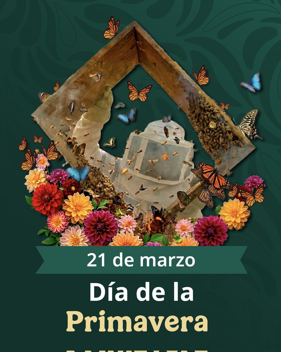 Secretaría de Agricultura y Desarrollo Rural tweet media