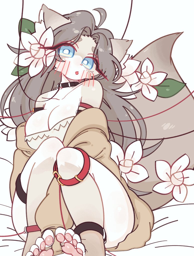 카까시 ● Kaggasi (3부코) tweet media