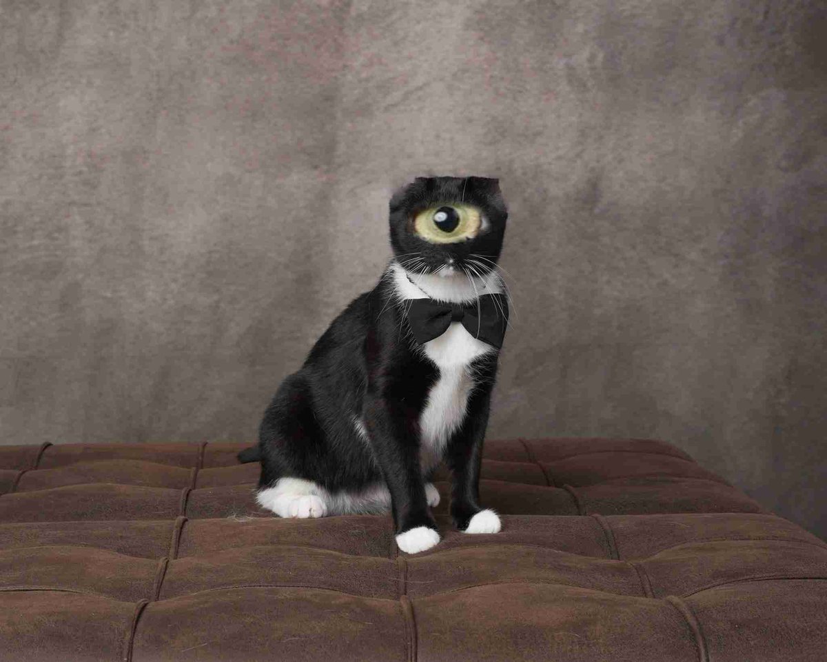 phantotree tweet media