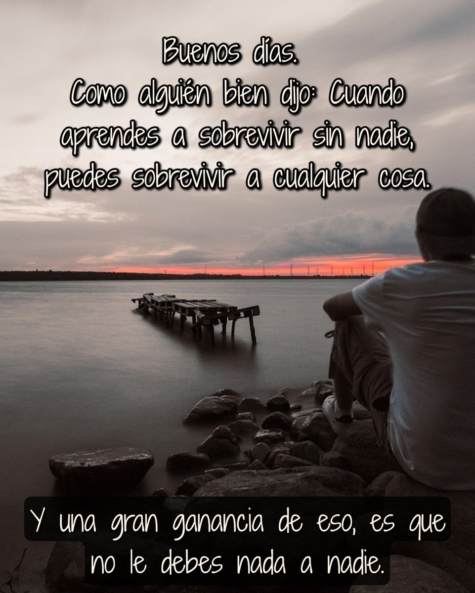 Alberto P. Lorandi M tweet media