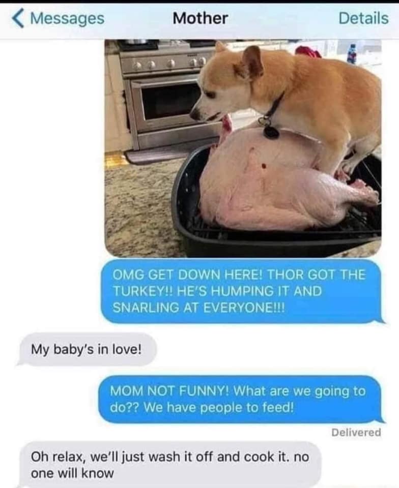 Lorax 🇺🇦🇵🇸🇦🇺🦘 tweet media