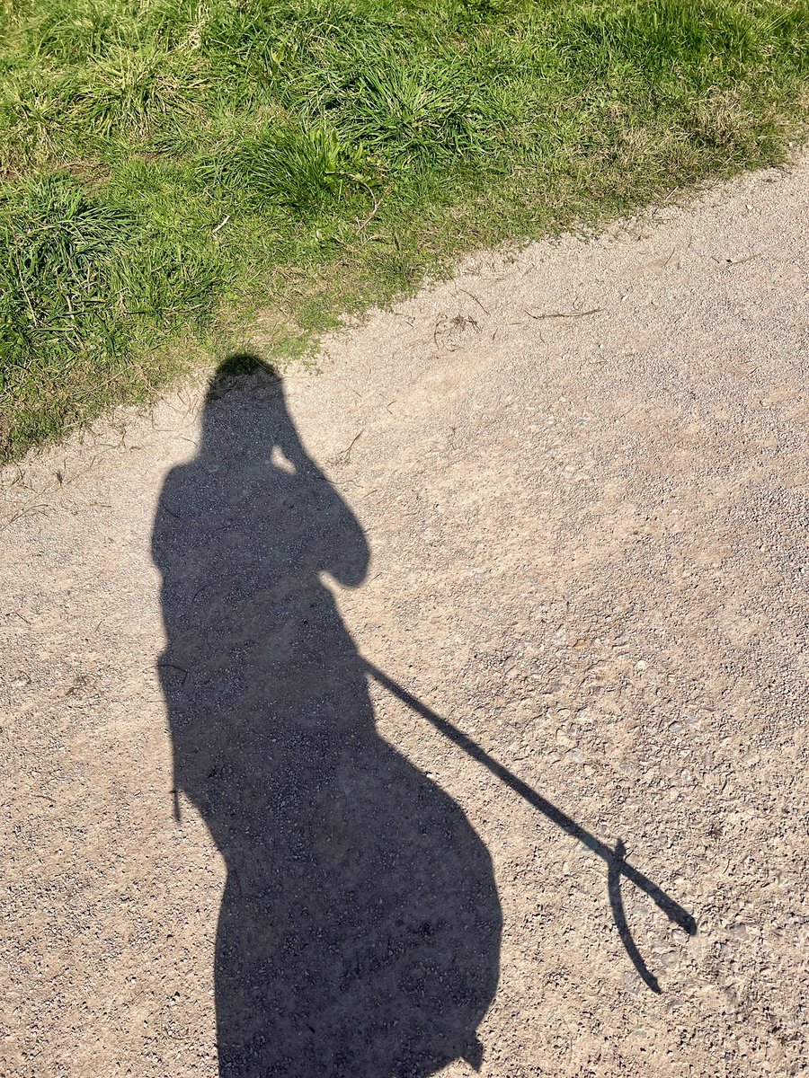 Me&ThePlasticSea tweet media